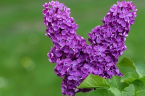 爱游戏娱乐网址-俱乐部青训对接职业梯队路径不清晰，普通青训俱乐部方向