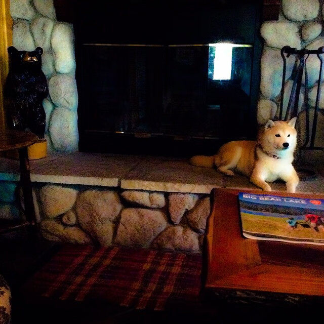 五大联赛是否优先培养多面球员适应密集赛程，五大联赛推荐