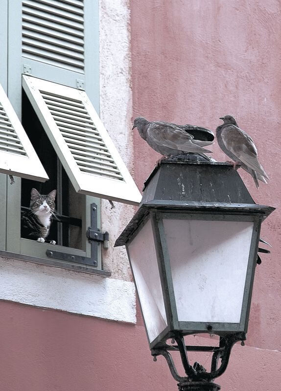 新月有意国米三将：恰尔汗、阿切尔比、西奥，恰尔汗奥卢对比埃里克森