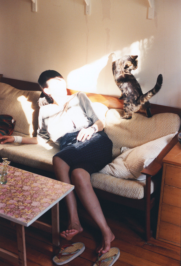 湖边赛事频传捷报,天府新区迎高光时刻,陈家跟蒋家什么关系