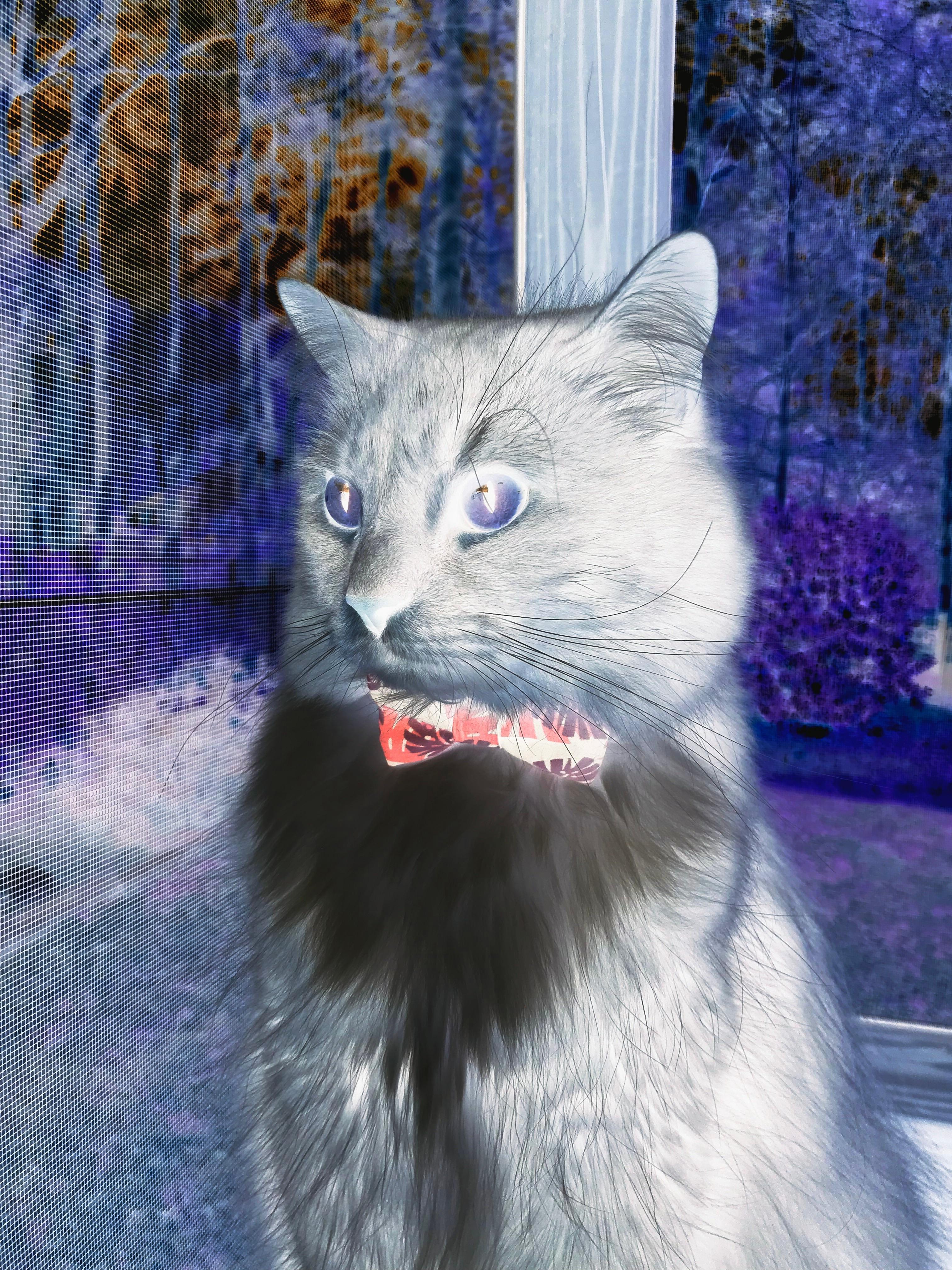 青少年足球赛事缺乏专业组织，青少年足球赛事缺乏专业组织知识